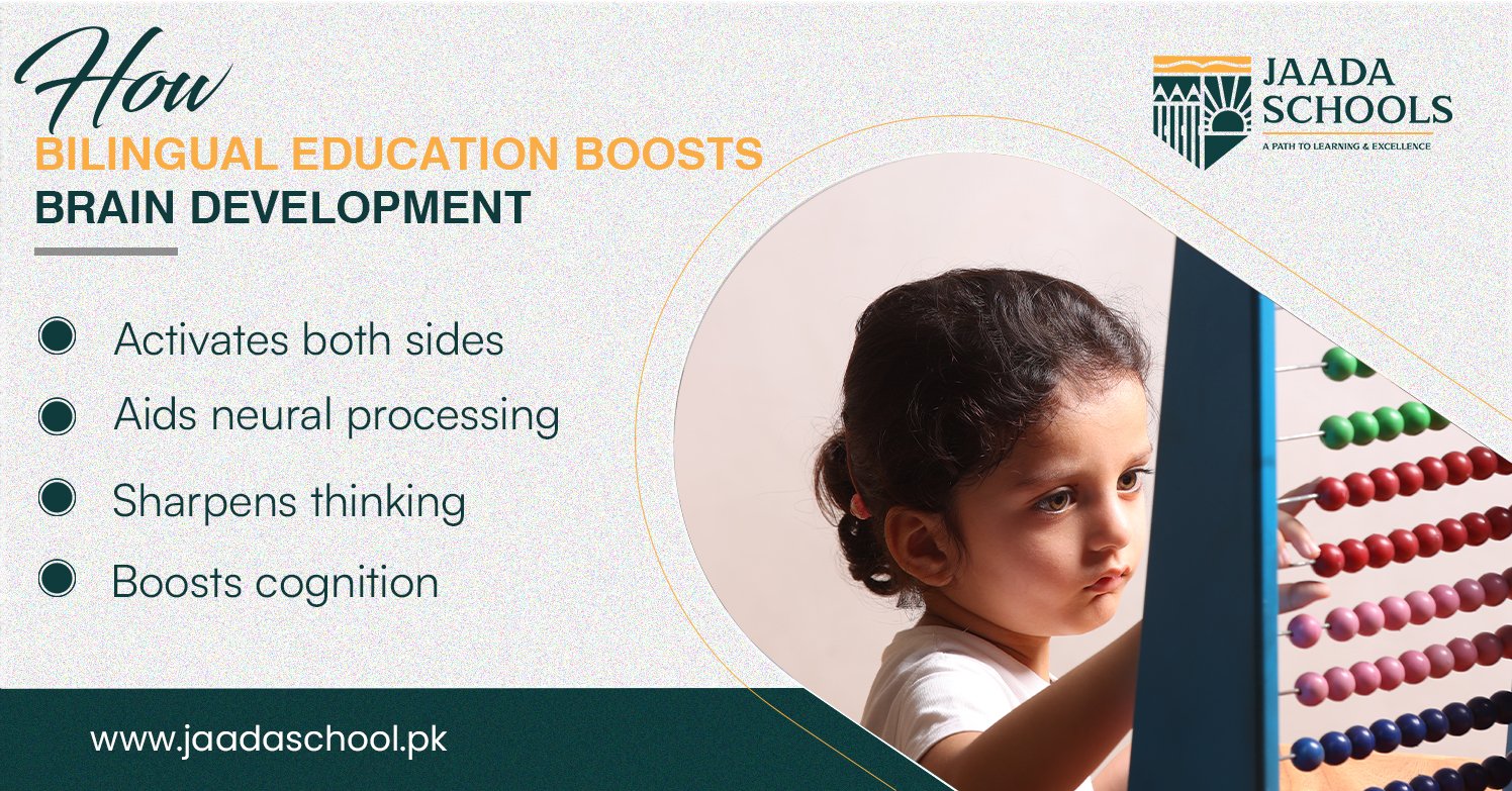 Bilingual Education Boosts Brain Development